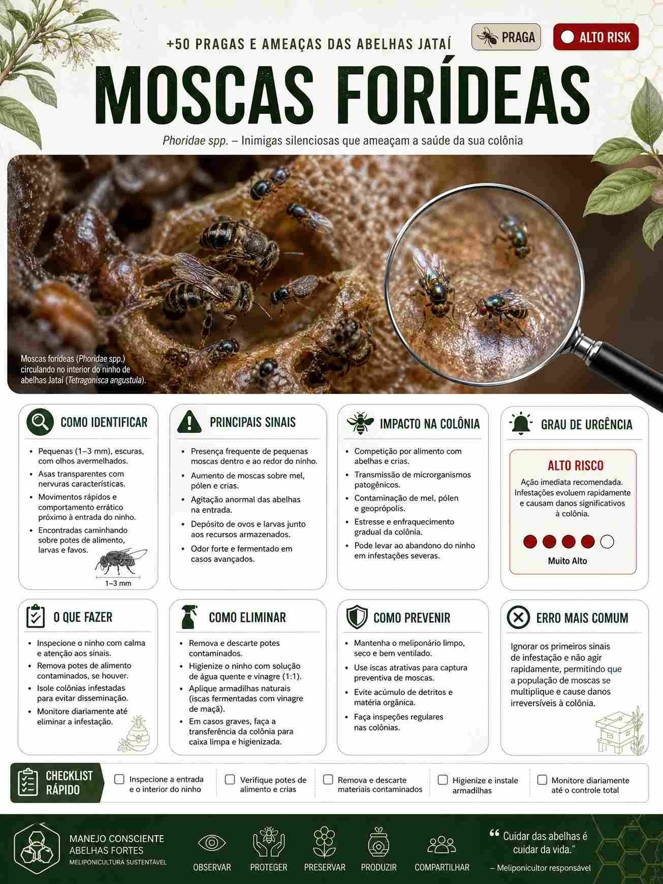 Prévia 1 do Mapa Visual das Pragas e Ameaças das Abelhas Jataí