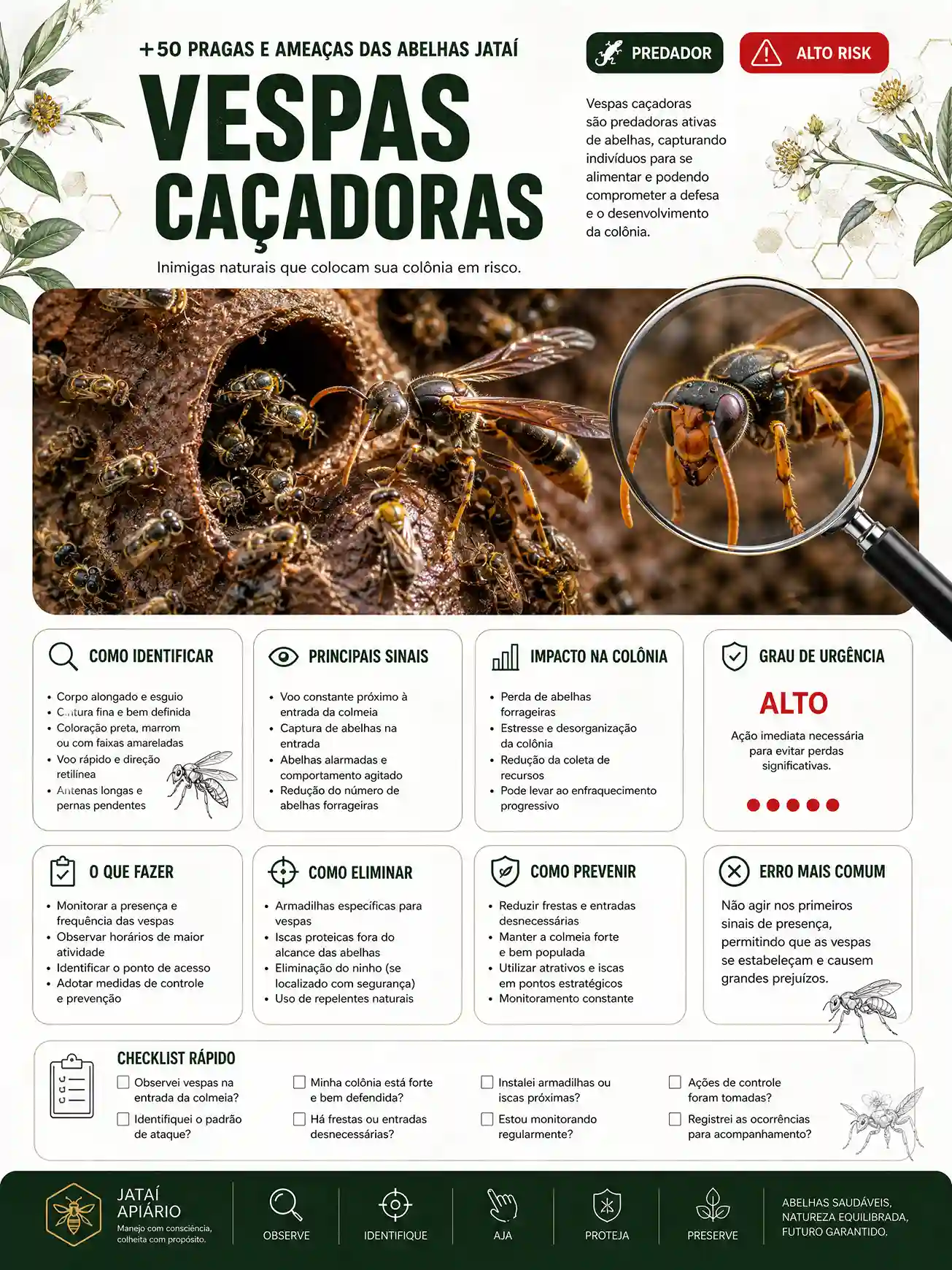Prévia 2 do Mapa Visual das Pragas e Ameaças das Abelhas Jataí